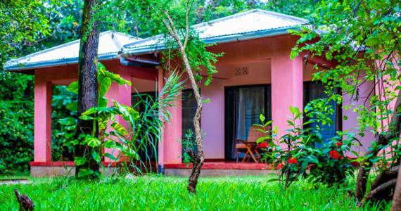 Havennature Safari Camp and Lodge