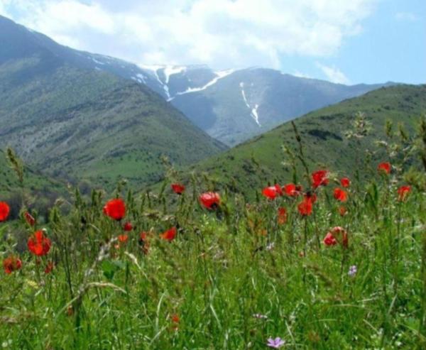 På billedet ses objektet Nuratau homestay beliggende i byen Madzherum.