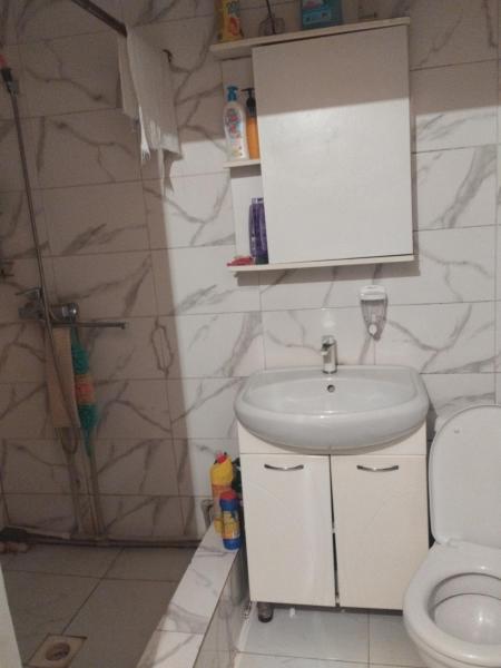 Барсの写真4