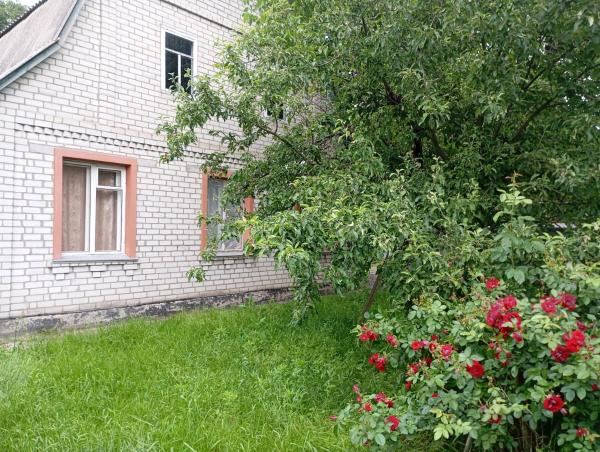 Na zdjęciu widoczny jest obiekt Ratusha Hall Zazymje położony w mieście Dobrovelychkivka.