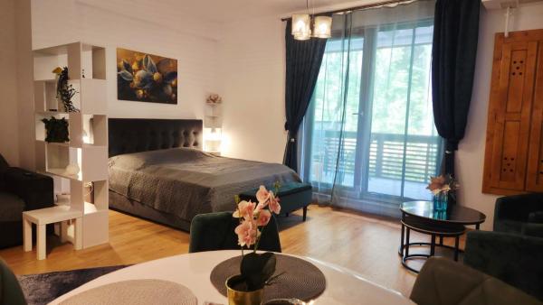A la foto es mostra l'objecte Ari Studio Clabucet situat a la ciutat de Predeal.