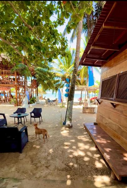 A la foto es mostra l'objecte Aquarius Diving Club y Cabañas situat a la ciutat de Rincón.