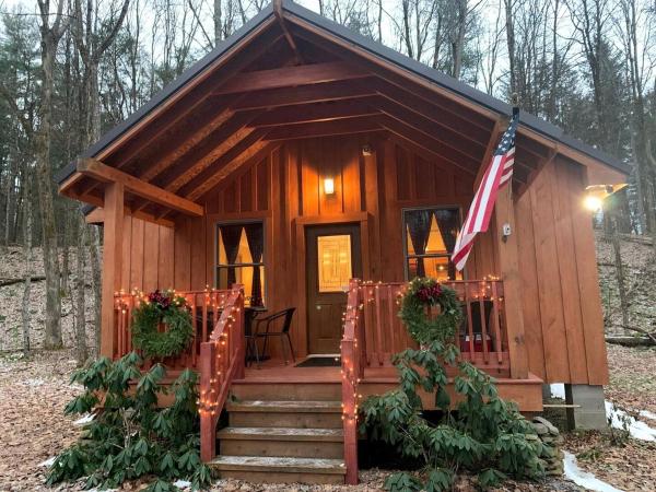 A la foto es mostra l'objecte Cozy Three-Bedroom Cabin Near The Salmon River in Altmar, New York situat a la ciutat de Altmar.
