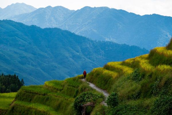 Στη φωτογραφία φαίνεται το αντικείμενο Longsheng Longji Rice Terraces Jingyue Hotel 龙胜龙脊梯田境悦酒店 που βρίσκεται στην πόλη Heping.