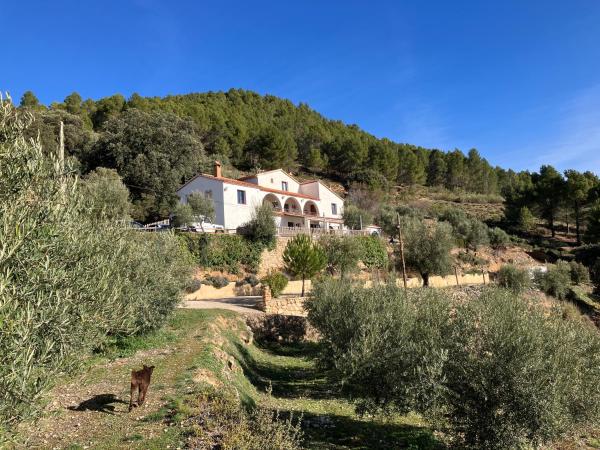 A la foto es mostra l'objecte Pilar de la Sima casa rural Arguellite Yeste situat a la ciutat de Gontar.