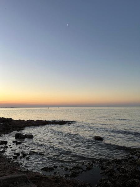 A la foto es mostra l'objecte Relax in New Andalucía- Tu refugio costero con pileta situat a la ciutat de Miramar.