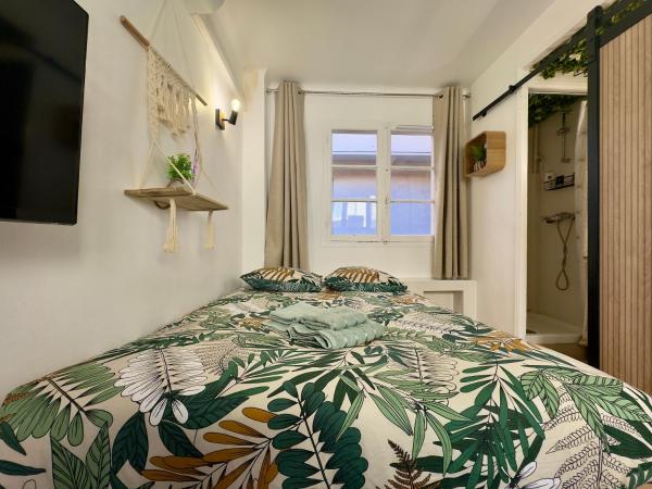 Haute-rive Scls - Clim, Wifi, Plages - Cannes
