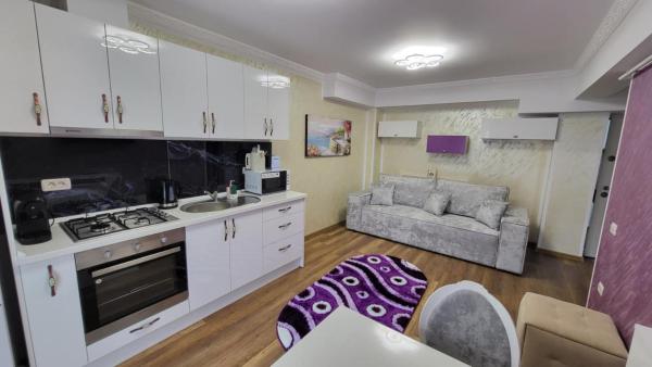 Nella foto è visibile l'oggetto Aly Apartaments 2 situato nella città di Suceava.