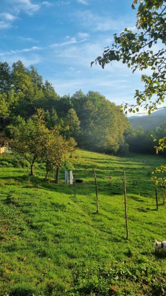 The photo shows the Bad and Breakfast Majestik located in the city of Gornji Ribnik.