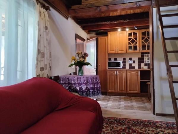 A la foto es mostra l'objecte Садиба-студіо Під вишнею situat a la ciutat de Dyyda.