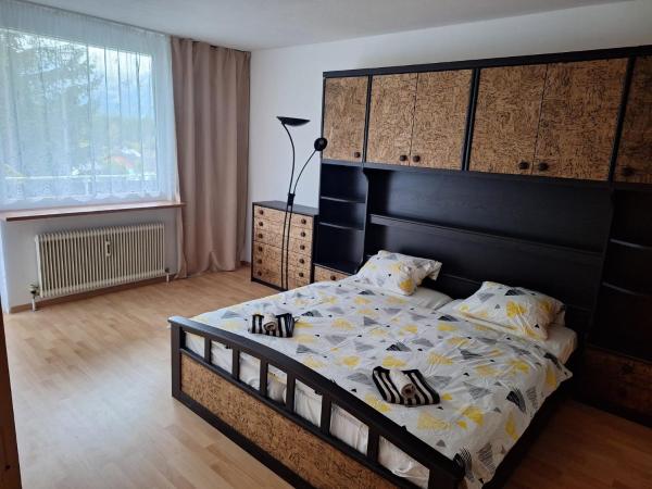 Dachstein Apartments - Bad Mitterndorf - Tauplitzalm