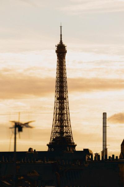 Bus Palladium, Paris