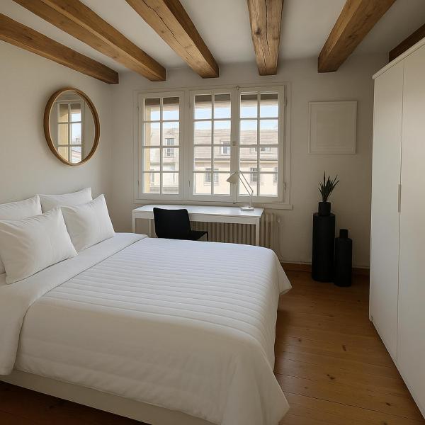 Auf dem Foto ist das Objekt Appartement Centre Ville in der Stadt Genf zu sehen.