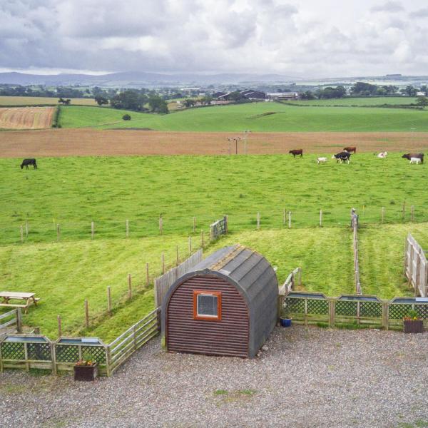 Fotografia 2: Glamping on a working farm five miles west of Carlisle