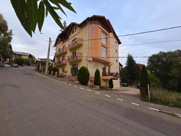 Pensiunea Valea Alba - Predeal