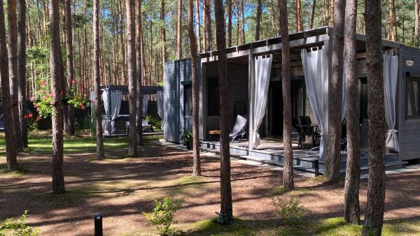 Na fotografii je vidět objekt Las Biala's - Domki z sauną i jacuzzi w Puszczy Noteckiej - Tylko dla dorosłych nacházející se ve městě Mężyk.