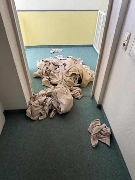 Large flat with WIFI and parking, Múnich