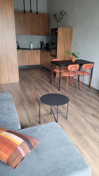 Loftowy Apartament - 15 Min Od Starówki W Gdańsku - Danzig