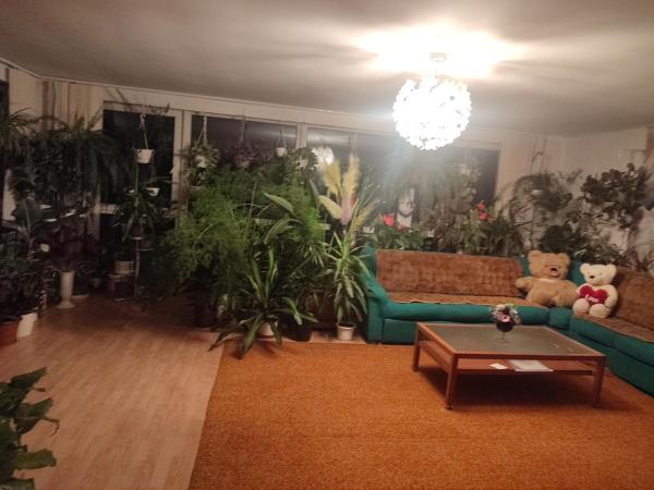 A la foto es mostra l'objecte Оазис situat a la ciutat de Jíloviště.