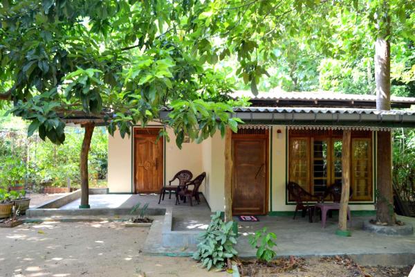 A la foto es mostra l'objecte Sigiriya Freedom Lodge situat a la ciutat de Dambulla.
