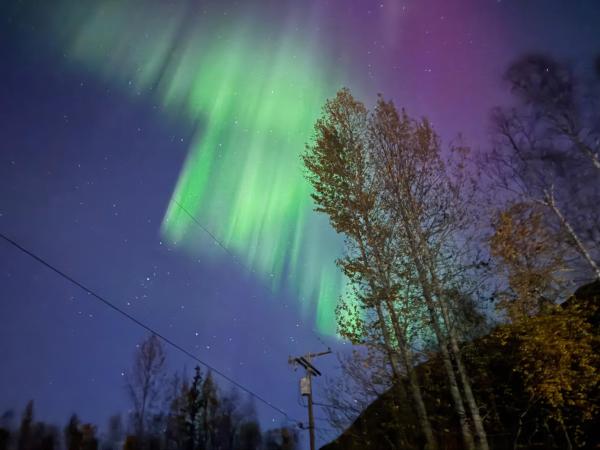 Fotografie 4: Tiny Home at Bear Mountain -Only 25 Min from Anchorage, Great Central location-Cute & Comfortable