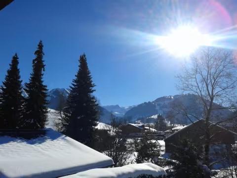 Na fotografii je vidět objekt Cosy flat in Saanen nacházející se ve městě Sarnen.