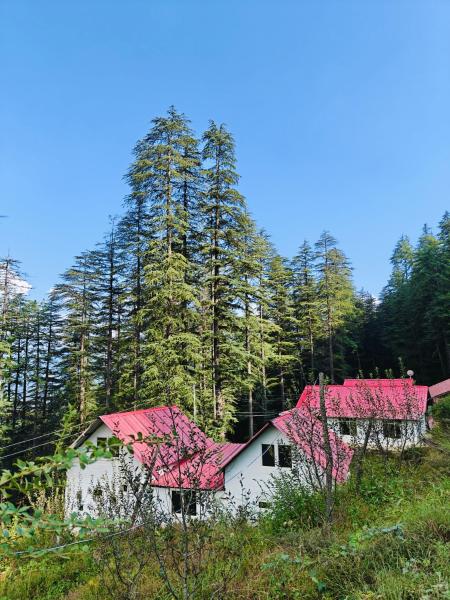 Nella foto è visibile l'oggetto Mistymountaincottage situato nella città di Shimla.