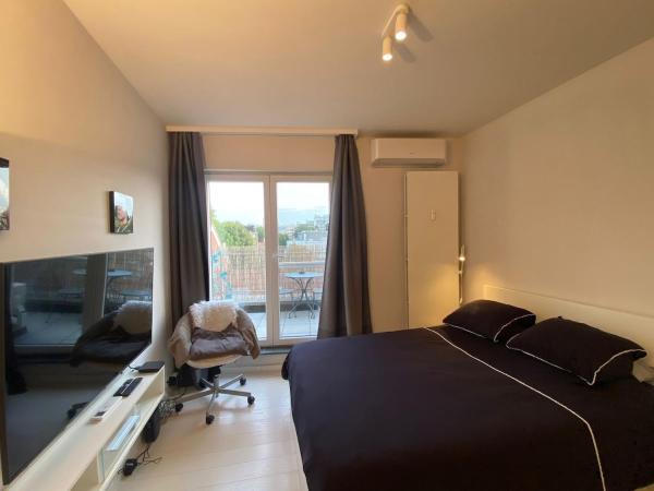 Cozy Studio In Bois De La Cambre, Bascule - Bruxelles