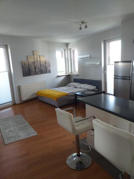 A la foto es mostra l'objecte Apartamenty Centrum Studio Zagnańska situat a la ciutat de Kielce.