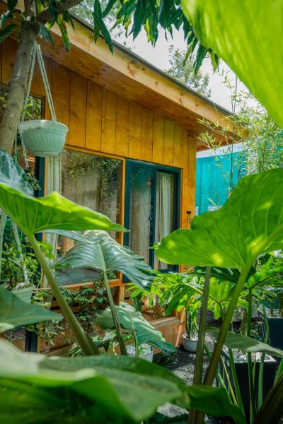 照片显示了位于Nkoanrua市的Mango Eco Cabin by Banana Farm物件。