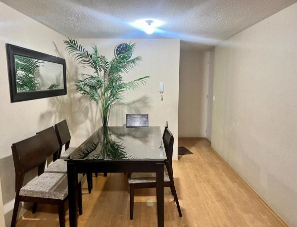 На фото показан объект Modern apartment in Arequipa, расположенный в городе Мирафлорес.