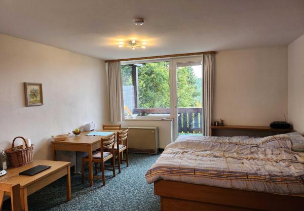 A la foto es mostra l'objecte Zimmer mit Küchenzeile in einer abgelegenen ehemaligen Hotelanlage situat a la ciutat de Vohenstrauss.