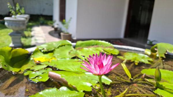 Na fotografii je vidět objekt Aetos Wellness - Tangalle nacházející se ve městě Tenagama.
