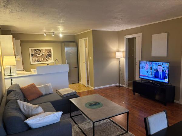 Na zdjęciu widoczny jest obiekt JECI Apartment Sandvika Bærum - Great view and Attractive położony w mieście Østre Jong.