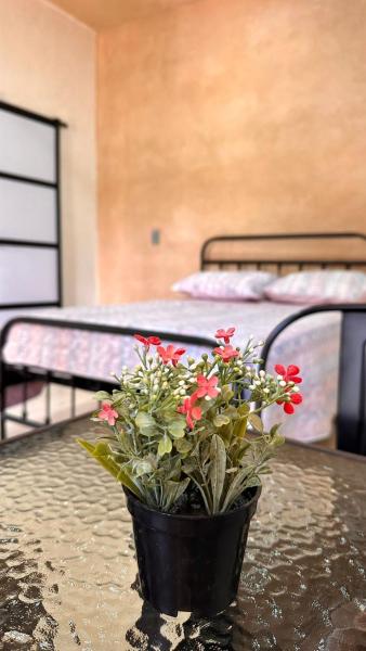 На фото показан объект Hospedaje Jardin, расположенный в городе Окосинго.