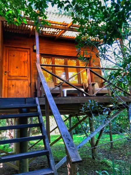 A la foto es mostra l'objecte Cabaña - Shaby situat a la ciutat de Tigre.