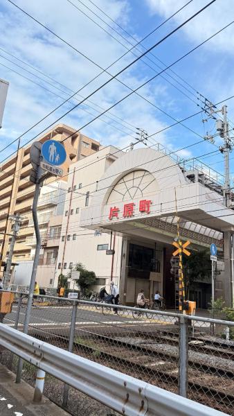 Photo 4 : リヤドベース