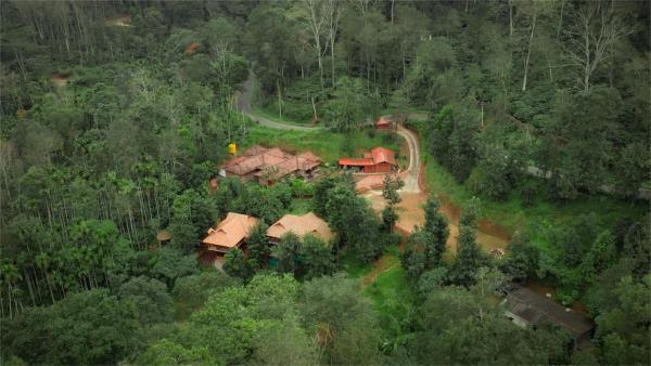 Mokha Grove Retreat, Ammatti