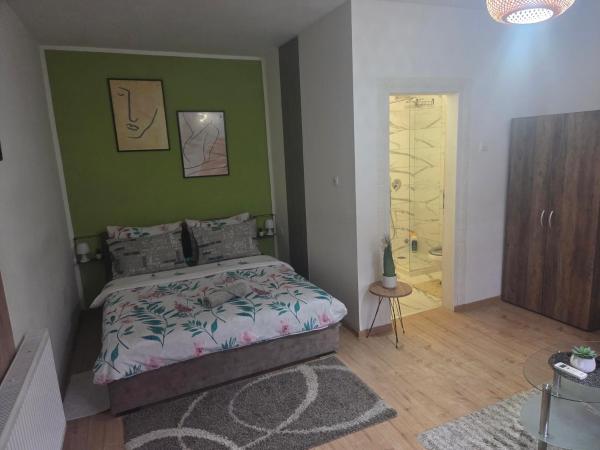 Nella foto è visibile l'oggetto Zen apartman 8 situato nella città di Zrenjanin.