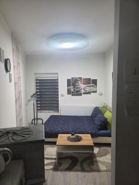 Nella foto è visibile l'oggetto Zen apartman 1 situato nella città di Zrenjanin.