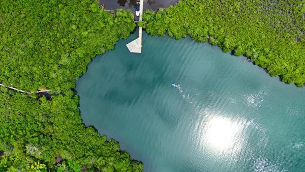 Nella foto è visibile l'oggetto La Purita Ecolodge situato nella città di Short Cut.