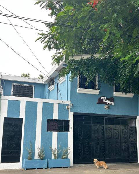 Pool House Hostel, Santa Ana