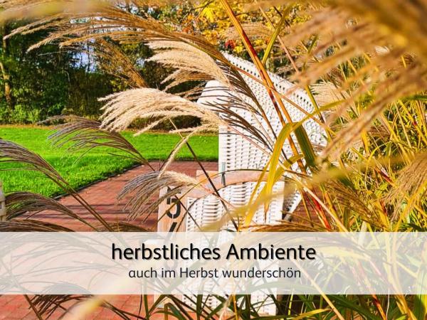 Bilde 9: strandnahe Familien-Oase mit Kinderbuggy