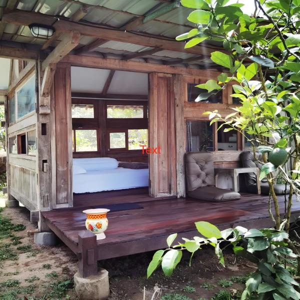 A la foto es mostra l'objecte Homestay Ijen Lemon House situat a la ciutat de Jambu.