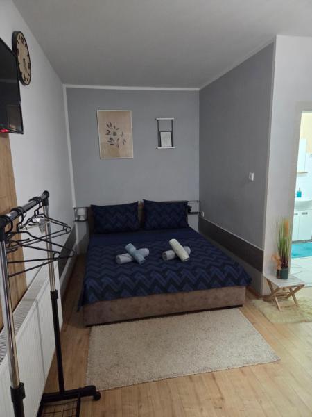 Nella foto è visibile l'oggetto Zen 6 deluxe room situato nella città di Zrenjanin.