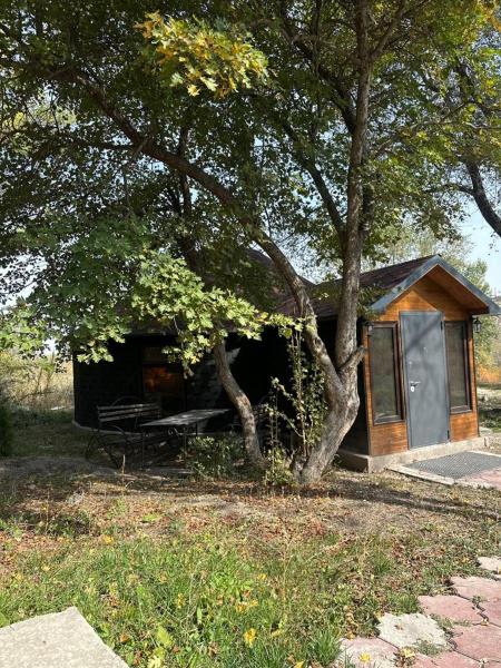 På billedet ses objektet Mishka Yurt guesthouse beliggende i byen Yur'yevka.