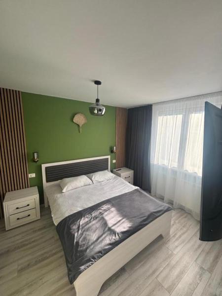 Central Elegant Lofts - Piatra Neamț