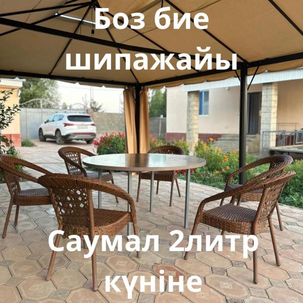 Na fotografii je vidět objekt Saumal Boz bie nacházející se ve městě Novostroyka.