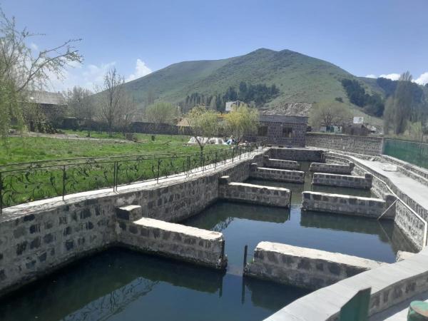 Агарод的照片7