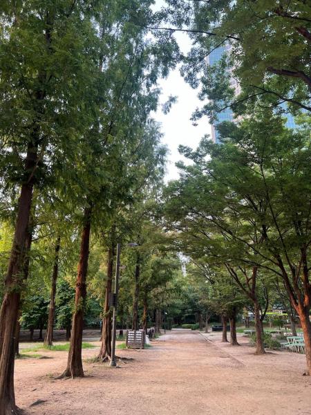 서울숲성수하우스的照片7